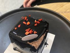 -共舞时光猫咖·狗咖(新街口店)