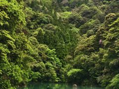 -刘伯温故里景区百丈漈