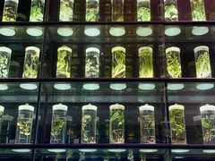 -广东中医药博物馆