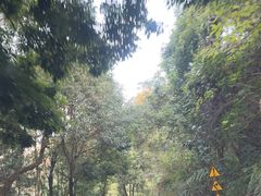-广州市帽峰山景区