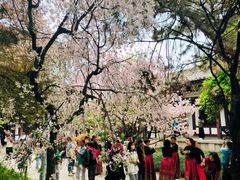 -西安青龙寺遗址景区