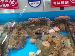 -永辉超市(融创茂店)