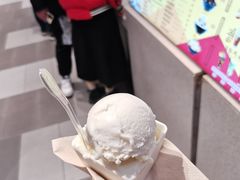 -野人先生现做冰淇淋(西安赛格店)