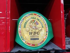 -FC格斗拳馆(东街店)