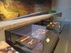 -北京周口店北京人遗址博物馆