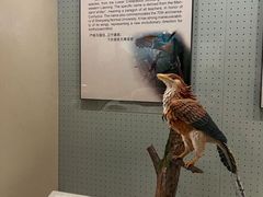 -辽宁古生物博物馆