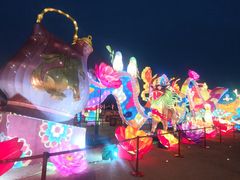 -大明宫国家遗址公园·御道广场