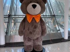 -济州岛泰迪熊博物馆