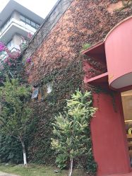 -马克叔叔的照相馆(东门店)