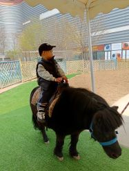 -萌宠亲子动物乐园(槐房万达店)