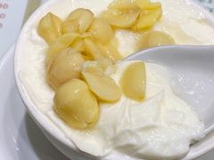 莲子双皮奶冻-义顺牛奶公司(新马路老店)