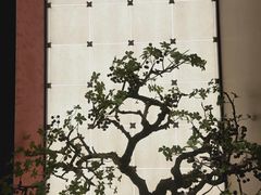 -湘上湘(米其林餐厅-正大中心总店)