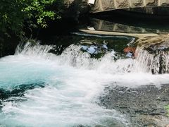 -趵突泉景区