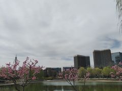 -西海子公园