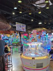 -卡通尼·Safari非洲探索乐园·生日会(金桥国际商业广场店)