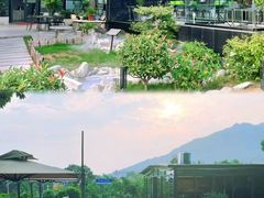 -蘇河湾·新鲁菜·泰山宴(泰山店)