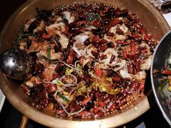 沸腾黑鱼-蜀都丰 川菜·水煮活鱼(万象九宜城店)
