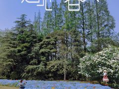 -上海滨江森林公园