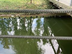 -前小桔亲子创意农场·草莓采摘·露营烧烤