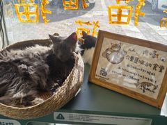 -平行世界·猫咖(首经贸店)