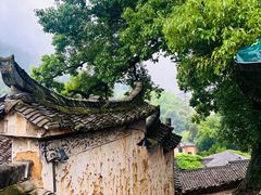 -杨家堂村