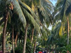 -三亚湾海居雅高铂尔曼度假酒店