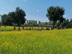 -长白岛森林公园