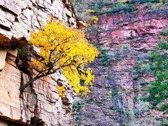 -湖洞水自然风景区