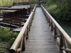 -同里国家湿地公园