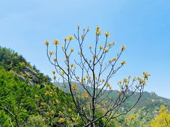 -崂山九水游览区