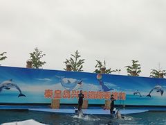 -秦皇岛新澳海底世界
