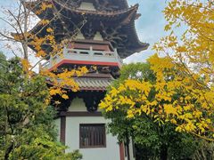 -武汉园博园(武汉自然博物馆)