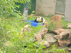 -沈阳森林动物园
