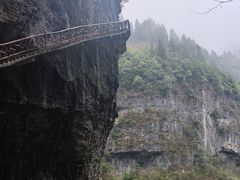 -鹿院坪生态旅游景区