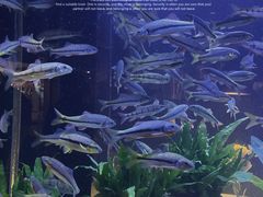 -味界·精致赣菜(招商花园城店)