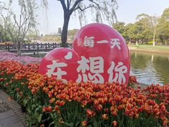 -上海鲜花港