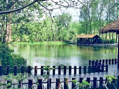 -溱湖国家湿地公园