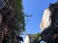 -金山嘴渔村
