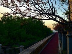 -集美鳌园景区