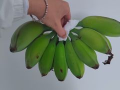 -大东门(地铁站)