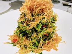 巧拌豆苗-四季民福烤鸭店(王府井灯市口店)