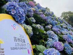 -苏州上方山国家森林公园