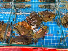 -江杨农产品批发市场