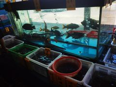 -崖口红树林海鲜餐厅