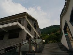 -老幺泉水鸡