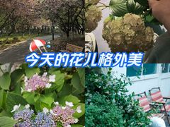 -中央公园(苏州工业园区)