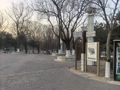 -大兴滨河森林公园