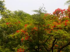 -晓港公园