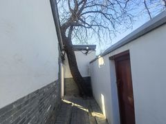 -北京鲁迅博物馆(北京新文化运动纪念馆鲁博馆区)