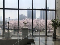 -龙美术馆(西岸馆)